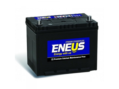 Аккумулятор 6ст - 60 (Eneus) Professional 21-450 - пп
